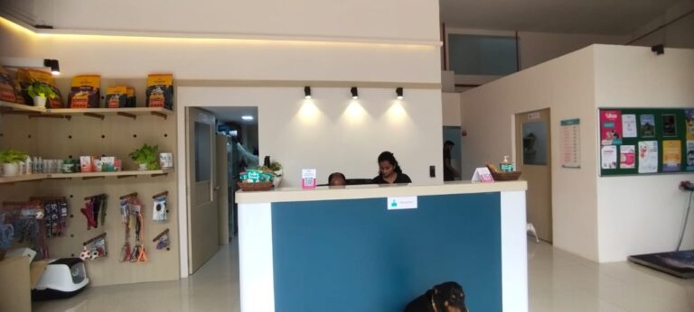 Wiggles MyVet Pet Clinic